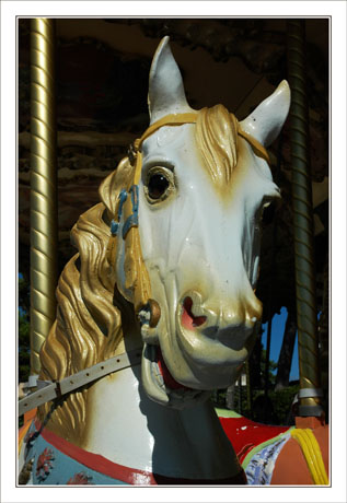 BLOG-DSC_1763-cheval manège le Moulleau