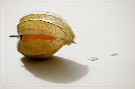 BLOG-DSC_1873-amour et larmes