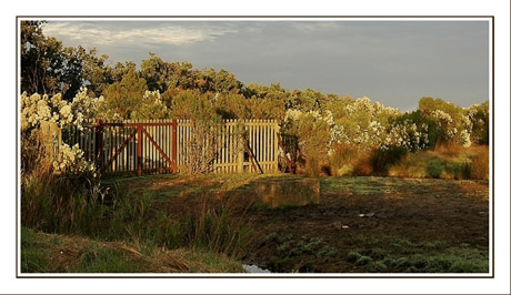 BLOG-DSC_2152-lumière éphémère plaines du Teich BLOG-DSC_2152-lumière éphémère plaines du Teich