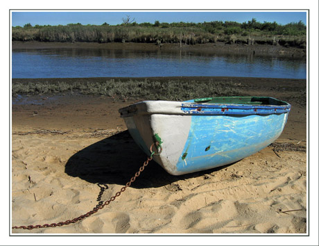 BLOG-IMG_5814-barque de la Leyre