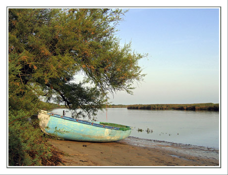 BLOG-IMG_5964-barque bleue de la Leyre