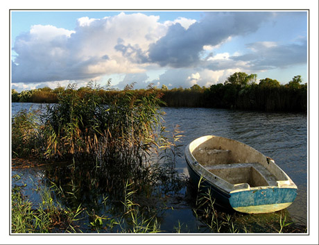 BLOG-IMG_6089-barque dans roseaux Leyre
