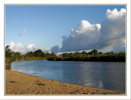 BLOG-IMG_6090-Leyre au début du sentier