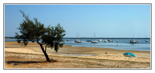 BLOG-DSC_1147-tamaris & parasol Cassy