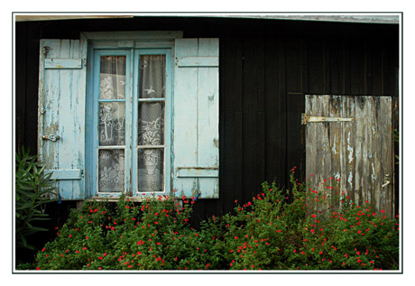 BLOG-DSC_2923-façade cabane Cap-Ferret