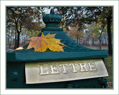 CP-Img_1922-lettre d'automne