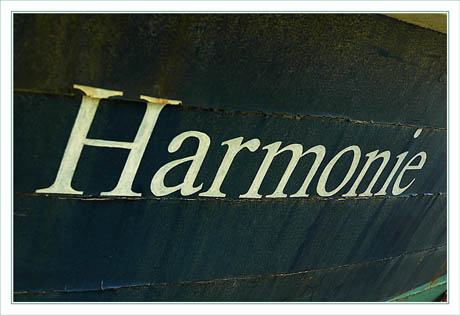 BLOG-DSC_2270-Harmonie-La Teste