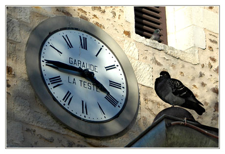 BLOG-DSC_3428-pendule et pigeons St Vincent 2