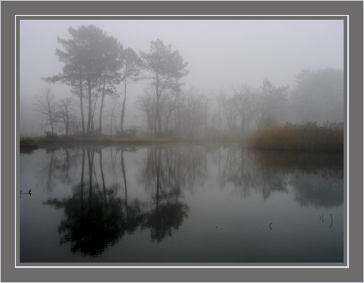 BLOG-IMG_2690-étang sous la brume BLOG-IMG_2690-étang sous la brume