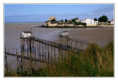 blog2-87-img335-talmont.jpg