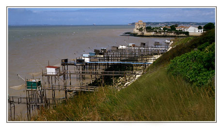blog2-87-img336-talmont.jpg