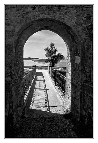 blog2-87-img339-oleron-nb2.jpg