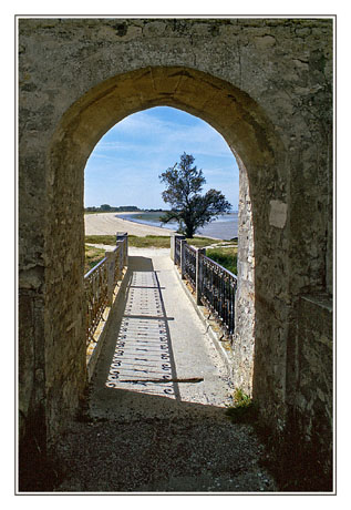 blog2-87-img339-oleron.jpg