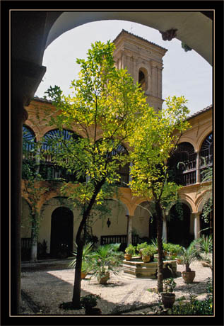 blog2-img171.jpg