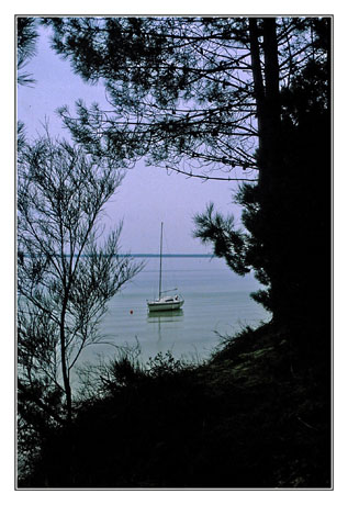 blog-84-img287-lacanau.jpg