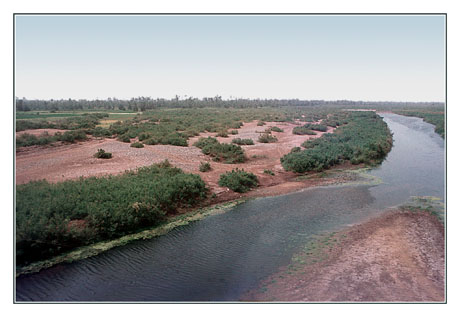 blog2-83-img2317-oued.jpg
