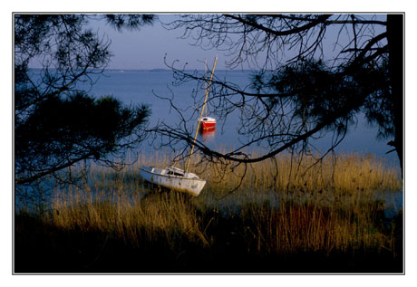 blog2-85-img303-lac-lacanau.jpg