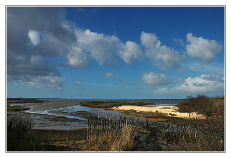 BLOG-DSC_1098-estey le Teich BLOG-DSC_1098-estey le Teich