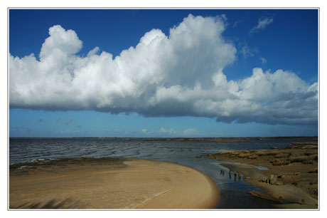 BLOG-DSC_1149-estey et embouchure de la Leyre face Audenge BLOG-DSC_1149-estey et embouchure de la Leyre face Audenge