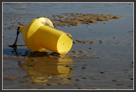 BLOG-DSC_1323-bouée jaune conche