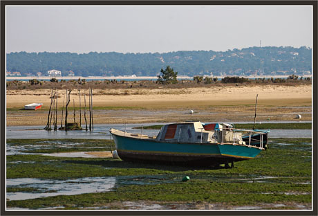 BLOG-DSC_1343-bateau et algues conche CF