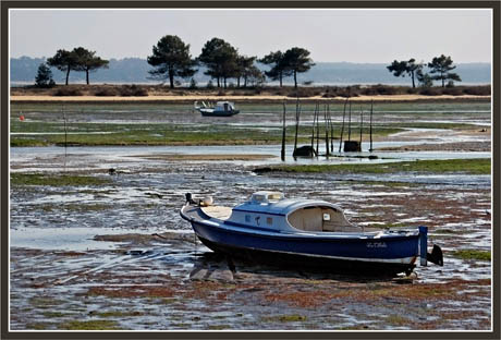 BLOG-DSC_1352-la Tillole