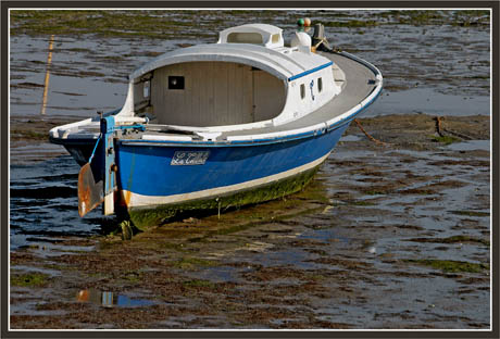 BLOG-DSC_1353-pinasse la Tillole