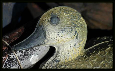 BLOG-DSC_1355-appelant