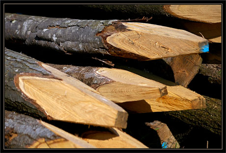 BLOG-DSC_1360-piquets neufs