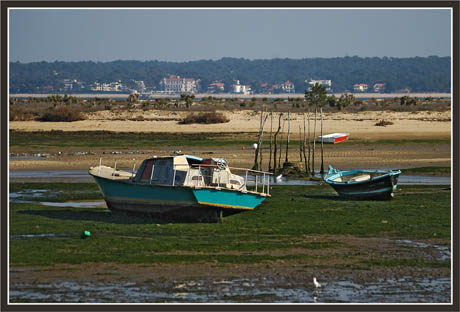 BLOG-DSC_1396-conche CF et le Moulleau