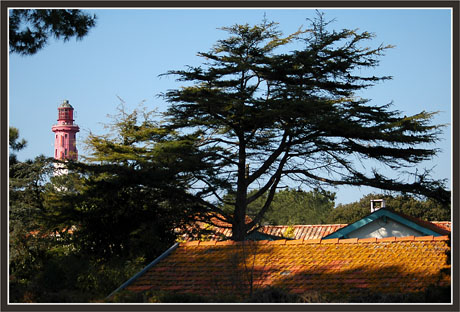 BLOG-DSC_1399-phare et toits