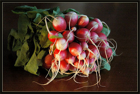 BLOG-DSC_1422-radis