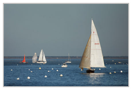 BLOG-DSC_1548-voiliers Arcachon