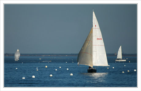 BLOG-DSC_1550-voiliers Arcachon