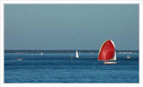 BLOG-DSC_1553-spi rouge Arcachon