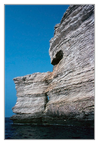blog2-83-img2600-cap-bonifacio.jpg