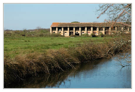 BLOG-DSC_1706-Graveyron