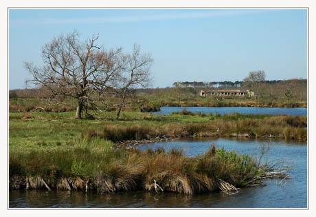 BLOG-DSC_1713-Graveyron vu du port 1