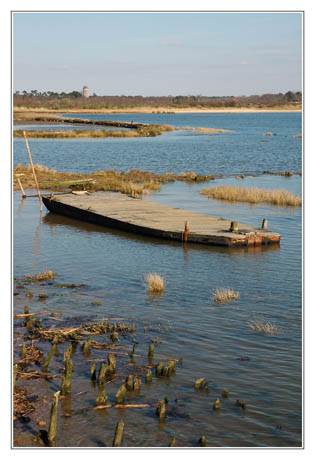 BLOG-DSC_1744-vieille plate et château d'eau Audenge