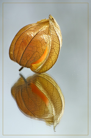 BLOG-DSC_1851-amour ciel et soleil