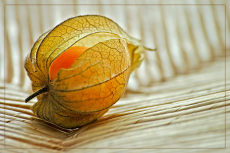 BLOG-DSC_1857-amour paille soleil