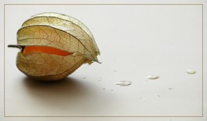 BLOG-DSC_1874-amour et pluie