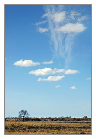 BLOG-DSC_2041-la part des anges Graveyron