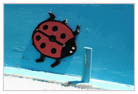 BLOG-DSC_2149-coccinelle Larros