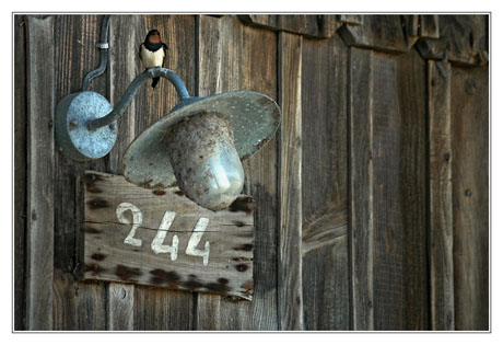 BLOG-DSC_2156-hirondelle Larros 244