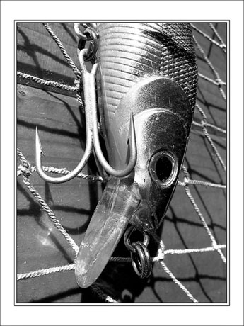 BLOG-IMG_1255-hameçon N&B