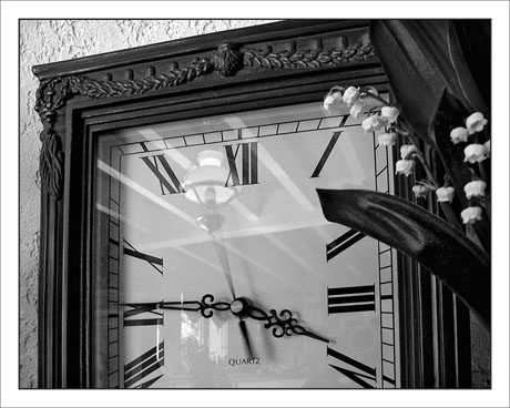 BLOG-IMG_3971-aiguilles & muguet N&B