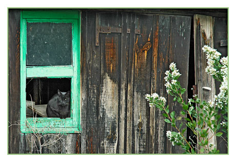 BLOG-DSC_2225-chat port laTeste