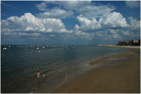 BLOG-DSC_2533-enfant épuisette plage Eyrac