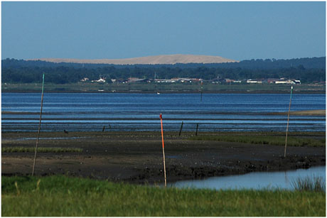 BLOG-DSC_2679-rec-dune